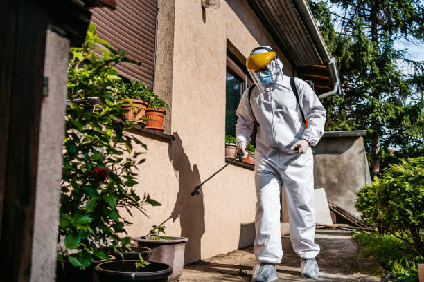 Best Best Pest Control Companies  in Salem, MO