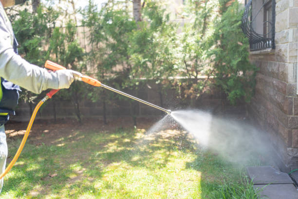 Best Affordable Pest Control Services  in Salem, MO