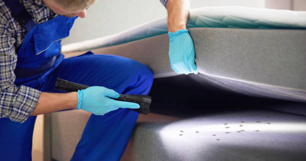 Best Rat Extermination Near Me  in Salem, MO
