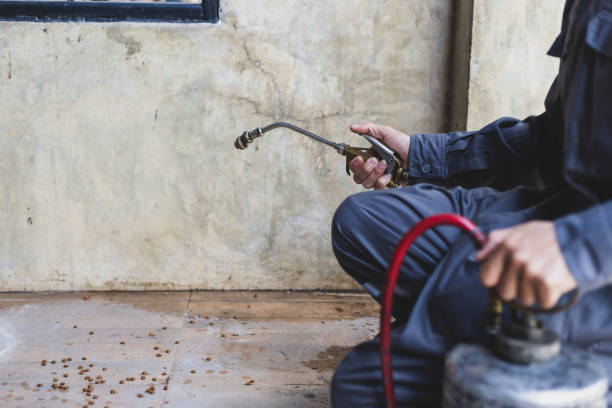 Best Pest Control Near Me  in Salem, MO
